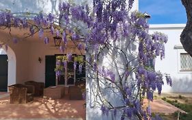 Villa Francesca - Camere con giardino